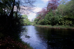 River Averon