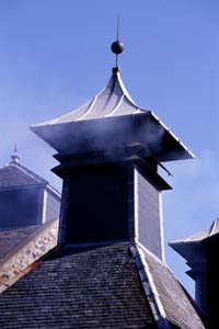 Pagoda Roof