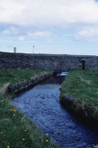 Mill Lade