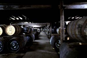 Warehouse of Springbank Distillery